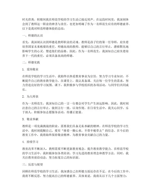 师范师德体验总结范文
