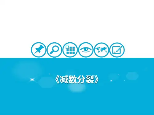 [优选]人教版高中生物史《细胞的生命历程》PPT精讲课件
