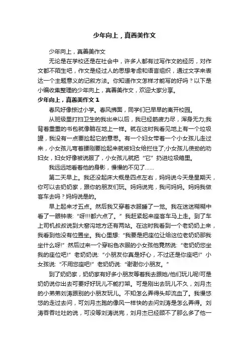 少年向上，真善美作文
