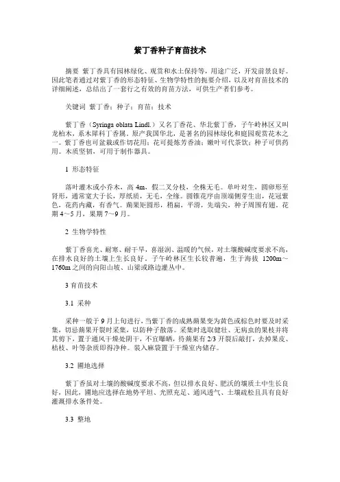 紫丁香种子育苗技术