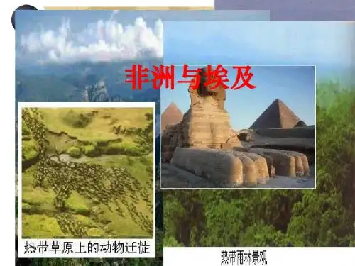 第六节非洲和埃及(上课课件)