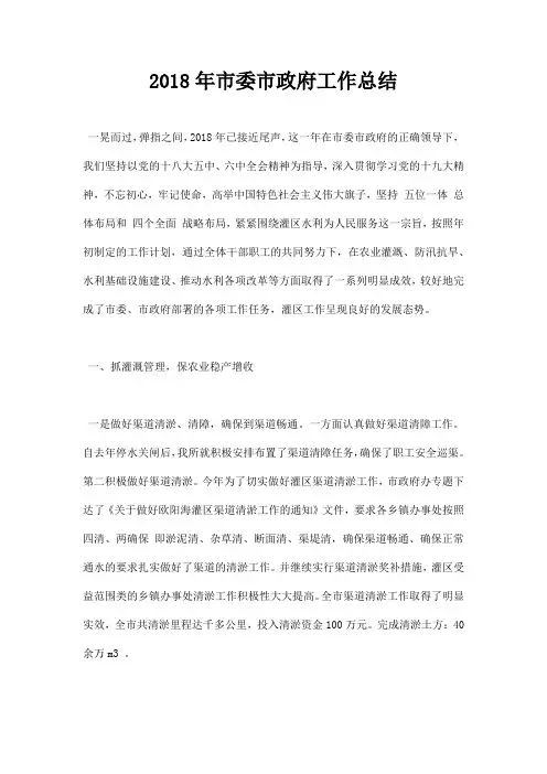最新2018年市委市政府工作总结