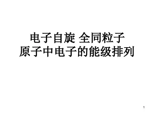 电子自旋--理论物理导论