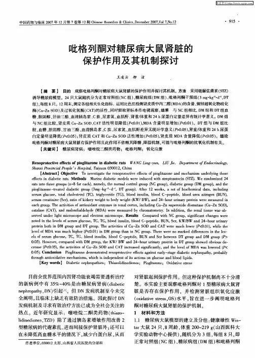 吡格列酮对糖尿病大鼠肾脏的保护作用及其机制探讨