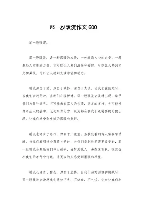 那一股暖流作文600