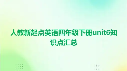 人教新起点英语四年级下册unit6知识点汇总