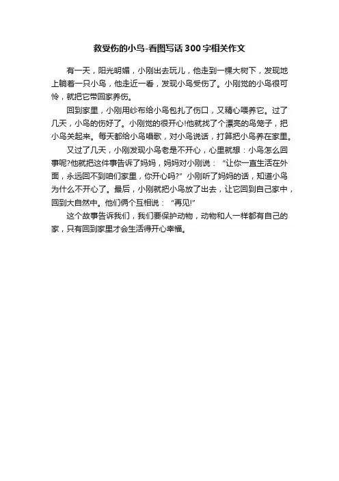 救受伤的小鸟-看图写话300字相关作文