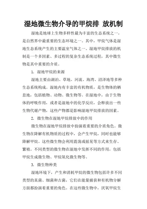 湿地微生物介导的甲烷排 放机制