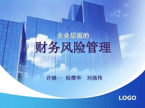 企业层面的财务风险管理(ppt 73页)