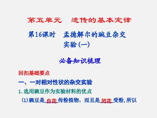 高考生物 总复习系列 第16课时 孟德尔的豌豆杂交实验(一)