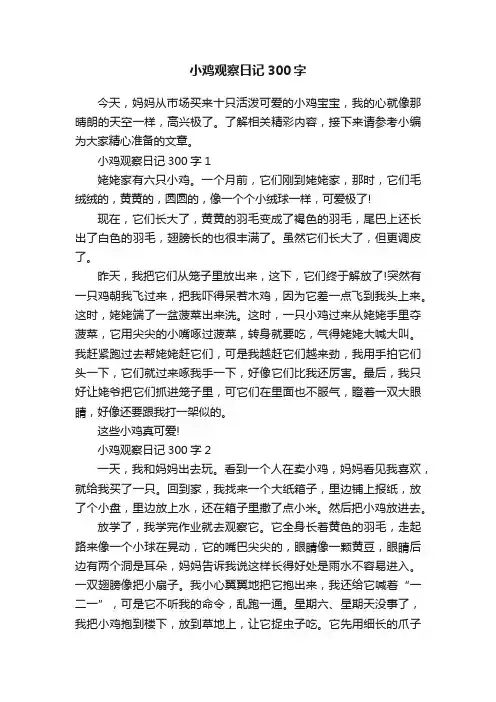 小鸡观察日记300字