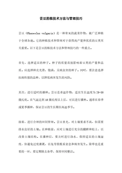芸豆的植技术方法与管理技巧