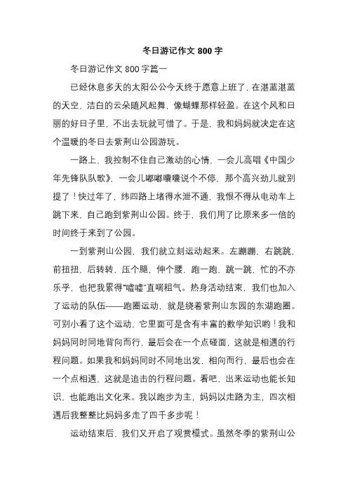 冬日游记作文800字