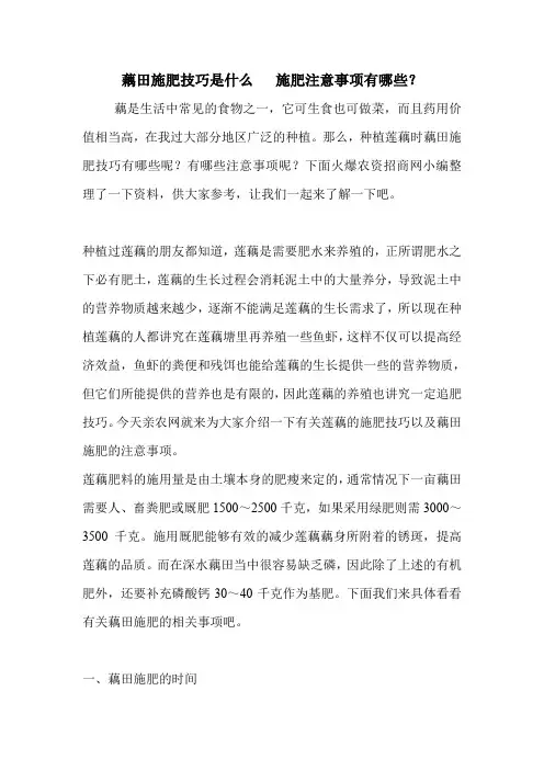 藕田施肥技巧是什么   施肥注意事项有哪些？