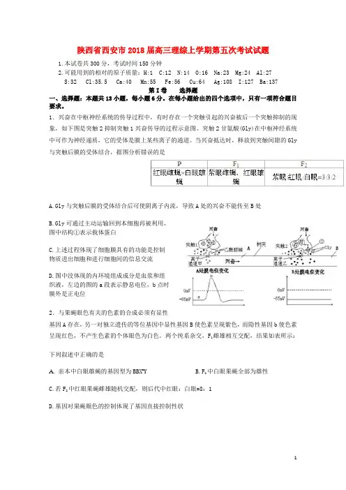 陕西省西安市2018届高三理综上学期第五次考试试题2018010601146