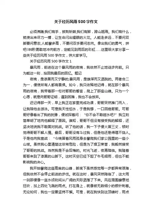关于经历风雨500字作文