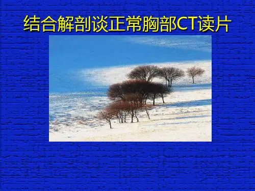 正常胸部CT读片