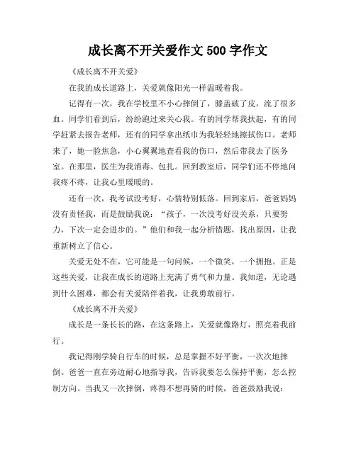 成长离不开关爱作文500字作文