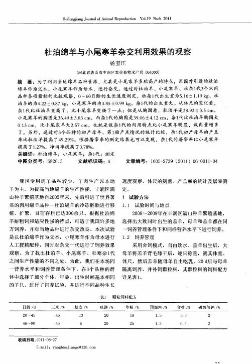 杜泊绵羊与小尾寒羊杂交利用效果的观察