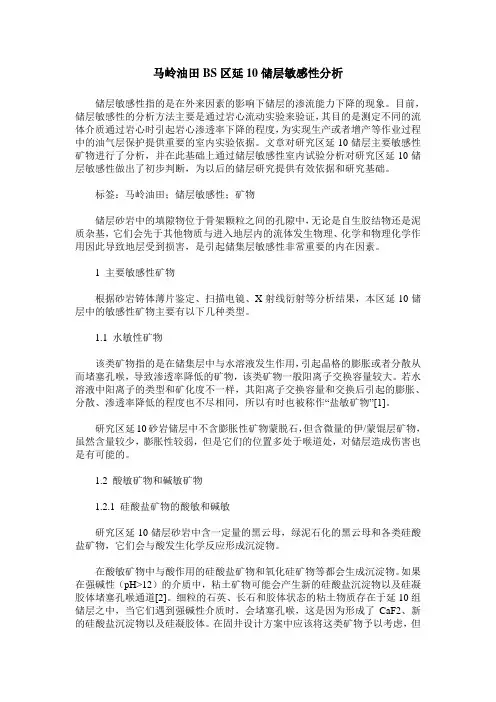 马岭油田BS区延10储层敏感性分析