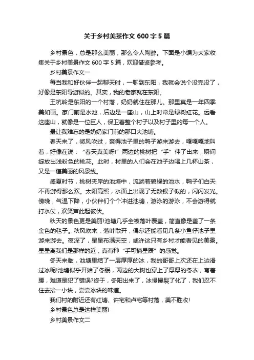 关于乡村美景作文600字5篇