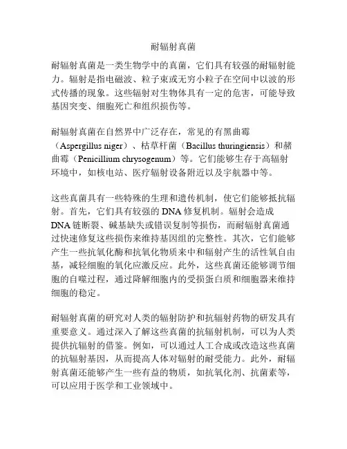 耐辐射真菌