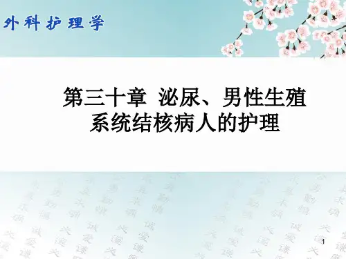 泌尿男性生殖结核病人护理PPT课件