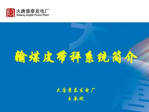 输煤皮带秤称重系统概述