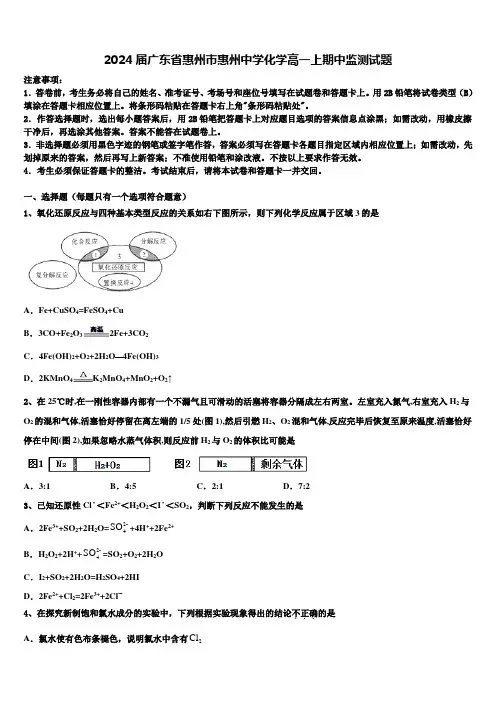 2024届广东省惠州市惠州中学化学高一上期中监测试题含解析