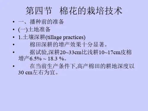 棉花栽培 4 优质课件