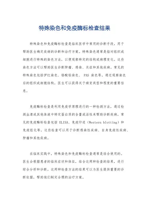 特殊染色和免疫酶标检查结果
