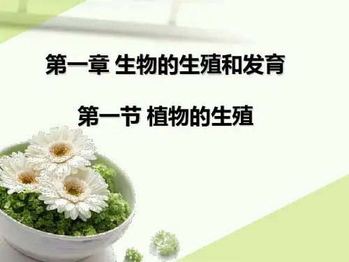 7.1.1植物的无性生殖 PPT课件