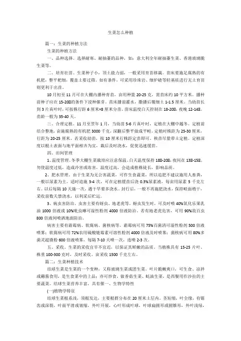 生菜怎么种植