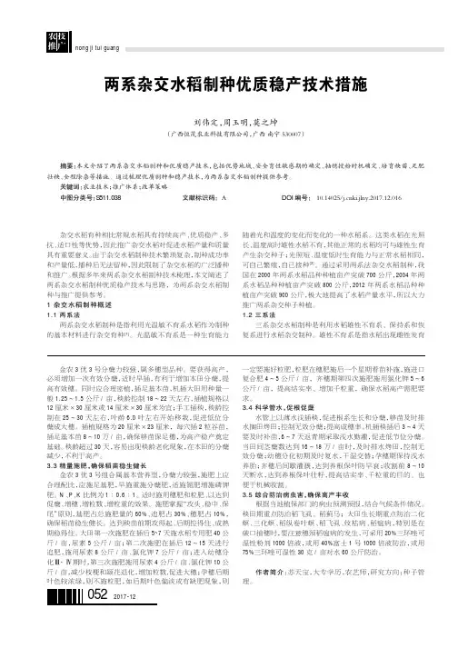 两系杂交水稻制种优质稳产技术措施