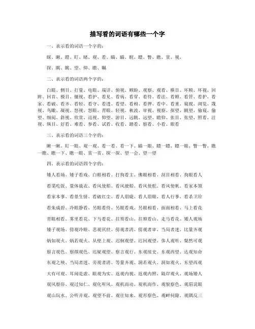描写看的词语有哪些一个字