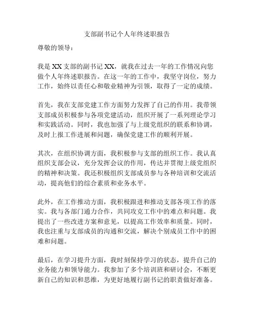 支部副书记个人年终述职报告