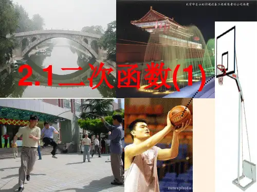 北师大版 九年级 数学下册  2.1二次函数概念 课件(共20张PPT)