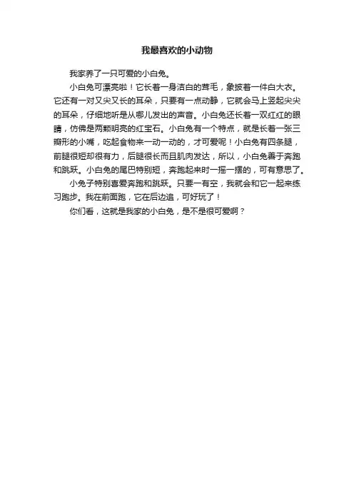我最喜欢的小动物