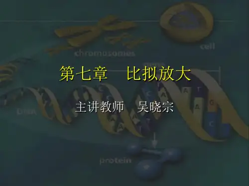 比拟放大