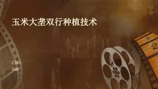 玉米大垄双行种植技术