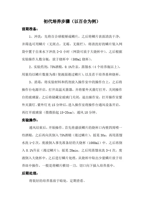 植物组织培养操作流程