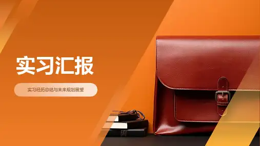 实习汇报PPT