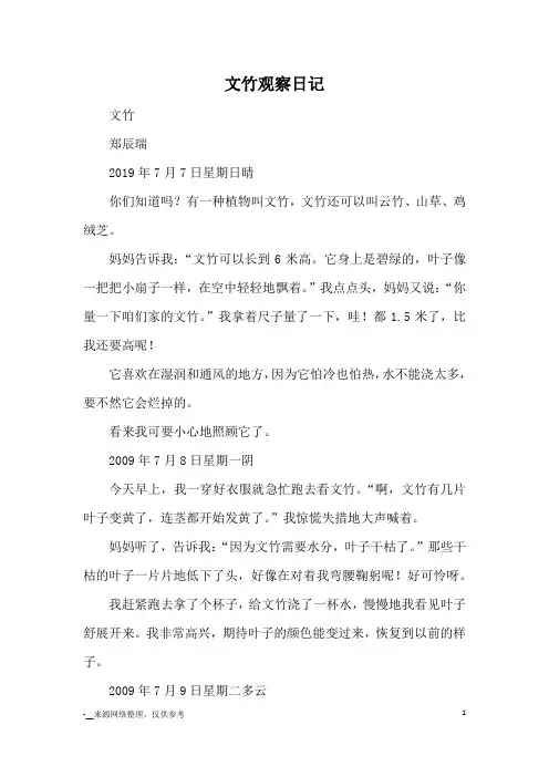 文竹观察日记_日记