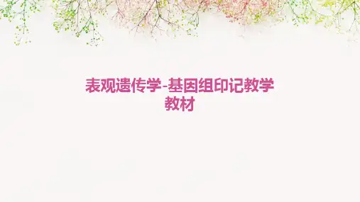 表观遗传学-基因组印记教学教材