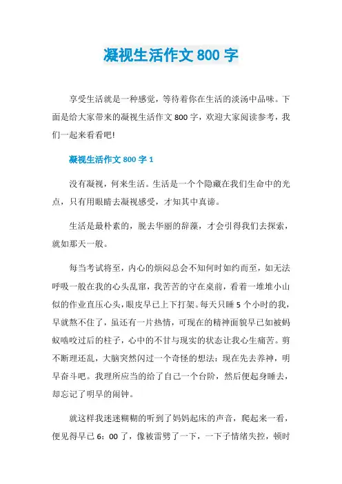 凝视生活作文800字