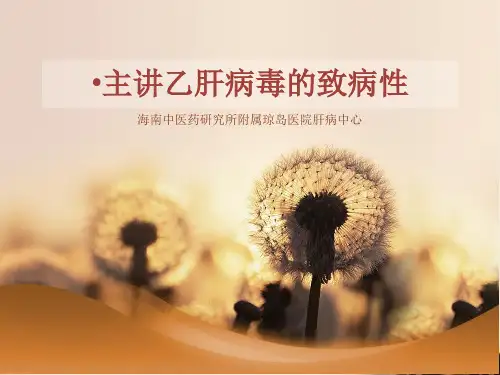 主讲乙肝病毒的致病性_海南琼岛医院