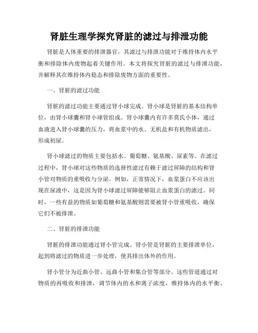 肾脏生理学探究肾脏的滤过与排泄功能