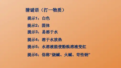 氢氧化钠变质课件