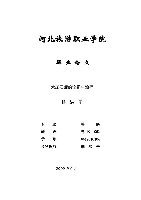 范文1：犬尿石症的诊断与治疗