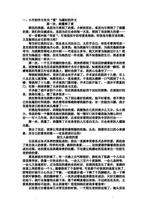 小升初作文题型范文